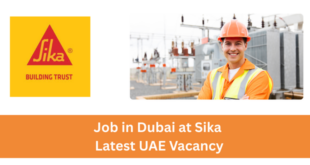 Job in Dubai at Sika