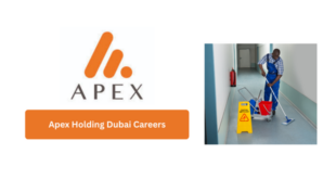 Apex Holding Dubai Careers